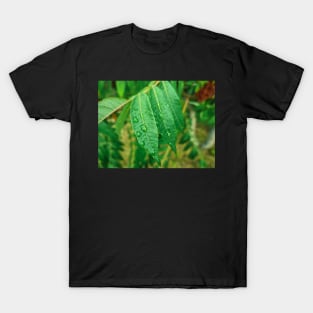 Water Drops on Green Leaf T-Shirt